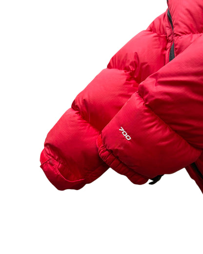 The North Face 700 Puffer Down Jacket